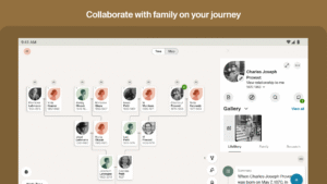 Ancestry: Family History & DNA 16.7
