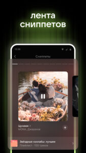 VK Music: playlists & podcasts 7.12 (nodpi)