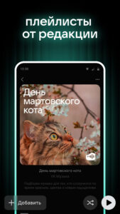 VK Music: playlists & podcasts 7.12 (nodpi)