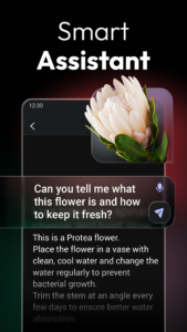 ChatOn - AI Chat Bot Assistant 1.88.694-782 ChatOn - AI Chat Bot Assistant 1.88.694-782