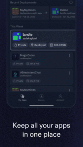 Replit 2.65.6