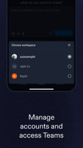 Replit 2.65.6