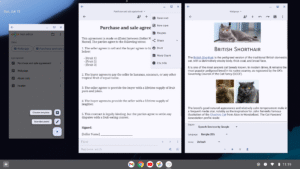 Text Editor 3.1.b163
