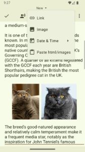 Text Editor 3.1.b163