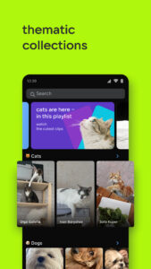 VK Clips: Short Videos 1.117