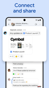 Google Chat 2025.06.15.771788943.Release (120-640dpi) (Android 6.0+)
