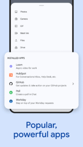 Google Chat 2025.06.15.771788943.Release (120-640dpi) (Android 6.0+)
