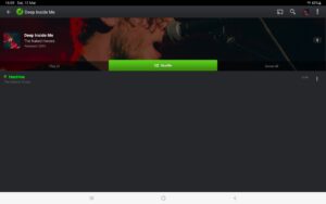 PlayerPro Music Player 5.39 (120-640dpi) (Android 6.0+)
