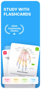 Noji: Study with Flashcards 2.13.0