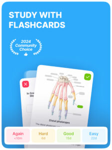Noji: Study with Flashcards 2.13.0