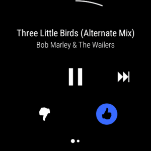 Pandora - Music & Podcasts (Wear OS) 2504.1.1