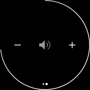 Pandora - Music & Podcasts (Wear OS) 2504.1.1