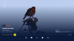 1&1 TV und Filme (Fire TV) (Android TV) 2.2513.1