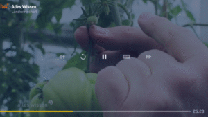 1&1 TV und Filme (Fire TV) (Android TV) 2.2513.1