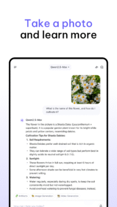 Qwen Chat 1.5.1