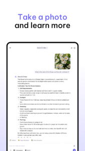 Qwen Chat 1.5.1
