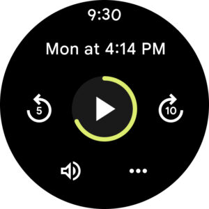 Google Recorder 4.2.20231207.599060048 (arm64-v8a) (480-640dpi) (Android 10+)