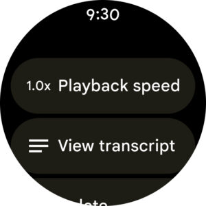 Google Recorder 4.2.20231207.599060048 (arm64-v8a) (480-640dpi) (Android 10+)