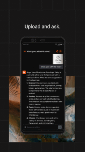 Le Chat by Mistral AI 1.1.10