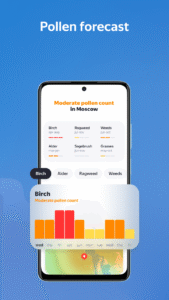 Yandex Weather & Rain Radar 25.7.11 (120-640dpi) (Android 8.0+)