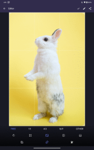 Fossify Gallery 1.4.2