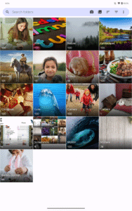Fossify Gallery 1.4.2