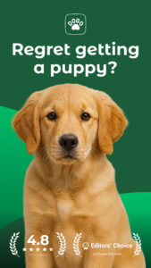 Dogo — Puppy and Dog Training 10.25.0