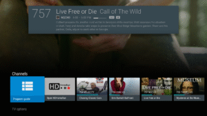 HDHomeRun 20250708 (120-640dpi) (Android 5.0+)