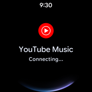 Google Gemini on Wear OS 1.22.5.780344288.release
