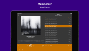 AIMP v3.00, build 942 (22.12.2019) (arm64-v8a) (nodpi) (Android 4.4+)