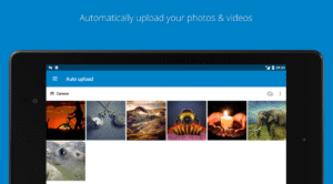 Nextcloud (f-droid version) 3.12.1 (Android 4.2+)
