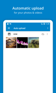 Nextcloud (f-droid version) 3.12.1 (Android 4.2+)