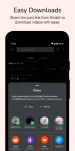 Video Downloader for Reddit 4.2
