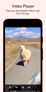 Video Downloader for Reddit 4.2