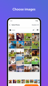 SELPHY Photo Layout 4.1.0