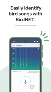 BirdNET: Bird sound identification 1.96