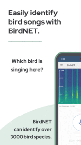 BirdNET: Bird sound identification 1.96