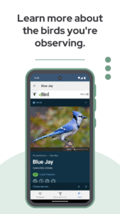 BirdNET: Bird sound identification 1.96
