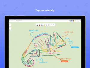Microsoft Whiteboard 1.301.0.25061007