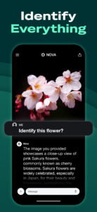 AI Chatbot - Nova 3.0.2