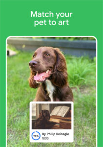 Google Arts & Culture 11.0.1371-728868842.0-release