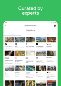 Google Arts & Culture 11.0.1371-728868842.0-release