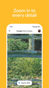 Google Arts & Culture 11.0.1371-728868842.0-release