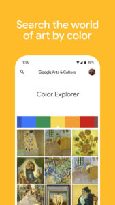 Google Arts & Culture 11.0.1371-728868842.0-release
