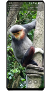 Aves Gallery (github version) 1.13.2 Aves Gallery (github version) 1.13.2