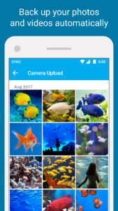 Sync - Secure cloud storage 2.9.14 (Android 4.0+) Sync - Secure cloud storage 2.9.14 (Android 4.0+)
