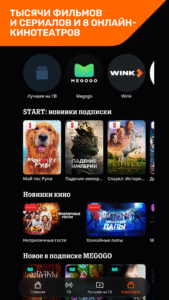 QINO 2.11.9