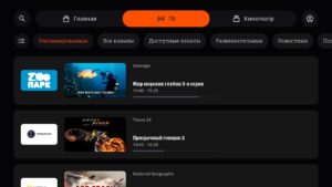 QINO 2.11.9