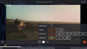 QINO 2.11.9