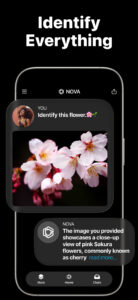AI Chatbot - Nova 1.3.2